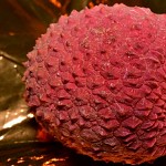 Lychee (en chinois 荔枝).